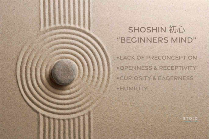 Shoshin core principles